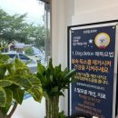 대호동물병원 이미지