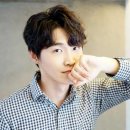 장인섭 카카오 검색결과