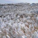 명산축산 이미지