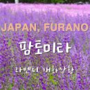 파란빛 상점