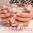 데이뉴네일 수제네일팁으로 아름다움을 더하다