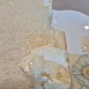 오아시스 목장 | 제주아침미소목장 카이막 오아시스에서 내돈내산 후기