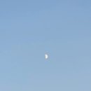 폰카로 사진 잘 찍는 방법 이미지