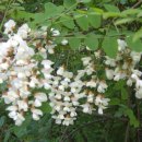 가좌체육공원 이미지