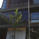 차이(Chai)797 서래마을점 이미지