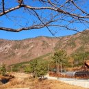 와룡산청룡사앞 이미지