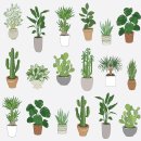 indoor plants - PDF 이미지
