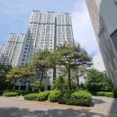 부산진구-34 이미지