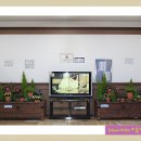 오션스파 이미지