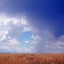 행복을 주는 행정사 이미지