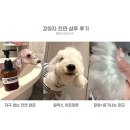 헤르츠오브캣