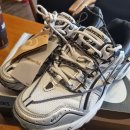 샤워앤독 | 미안하다 신발 보여주려고 어그로 끌었다👟