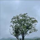 유니크환경 이미지