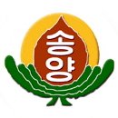 송양초등학교 이미지