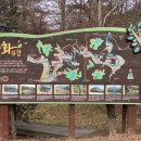 옥화자연휴양림 국민여가오토캠핑장 이미지