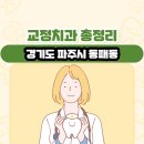 경기도 파주시 동패동 교정치과 총정리
