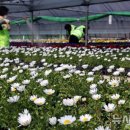 백양산 양묘장 이미지