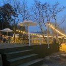 월출향가 이미지