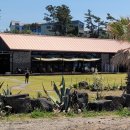 소금빌레 이미지