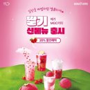앤하우스메가MGC커피