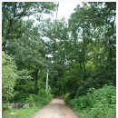 불광1-017 이미지