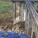 낙동강제방(3) 이미지