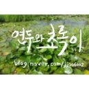 옥류천이야기길(동축사길) 이미지