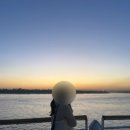빅스피어 | [패션] 내돈내산 쉬인 신혼여행 가성비 통통 빅사이즈 66 77 휴양지룩 추천 1(착샷ㅇ)