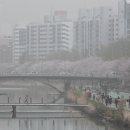 온천천일대14 이미지