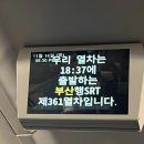유엔탁구장 | [일상/여행] 2박 3일 부산 먹방 여행 (광안리 숙성회 첨벙, 수영역 국이네낙지볶음 낙곱새, 이자카야...