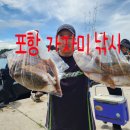 포항 영일만항 태창호 가자미낚시(다이와 라이즈 100 실사용 후기)