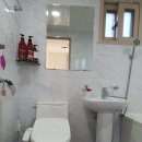 가평 남이섬 투투스파펜션 이미지