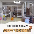 월천낚시 | 배방 월천지구 신규오픈한 베이비카페 '쏘소박 키즈라운지' 내돈내산 후기