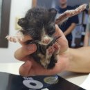 늘푸른셀프세차장 이미지