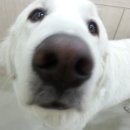 개편한세상 이미지