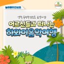 우쿨렐레(주간) | 양주주간보호 후기｜힐링 가득한 하와이 느낌 음악활동