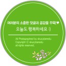 아동과학지도 이미지