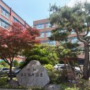 영진공인중개사 | 자격증 | 사무자동화산업기사 필기 5시간 벼락치기 합격 후기 (교재 X)