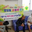약샘경로당 Daum카페