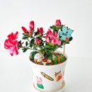 상지초교병설유치원 이미지