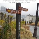 제64회. 3월17일 {변산 마실길2구간.1~2코스 트레킹} 이미지