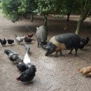 소농농장 이미지