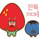 두테라서울점