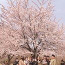 엘씨벤처스