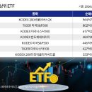 단일종목 레버리지 떠난 개인 투자자, 지수 추종 ETF로 이동 이미지