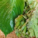 용지민물장어 이미지