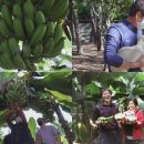 순일농장 이미지