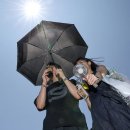 250713 표절-갑질 난리…“1기 내각, 대통령 눈 너무 높아” 이미지