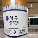 파리바게뜨청구점 | 신당동 노포 중국집 청산중화요리 후기, 탕수육 하나로 웨이팅하는 이유가 있네
