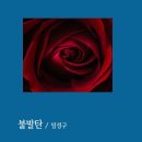 불발탄 / 임성구 / 시조집 - 『오랜 시간 골목에 서 있었다』 (2010. 4. 동학사) 이미지